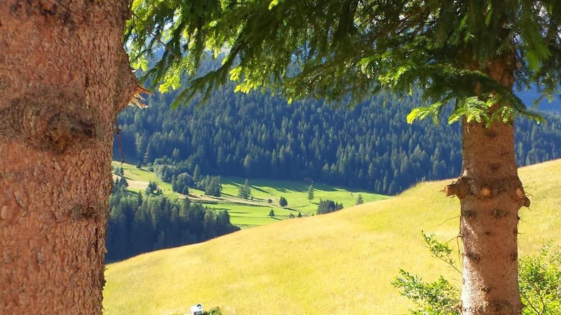 Ciasa Alpina Relax Hotel Moena Εξωτερικό φωτογραφία